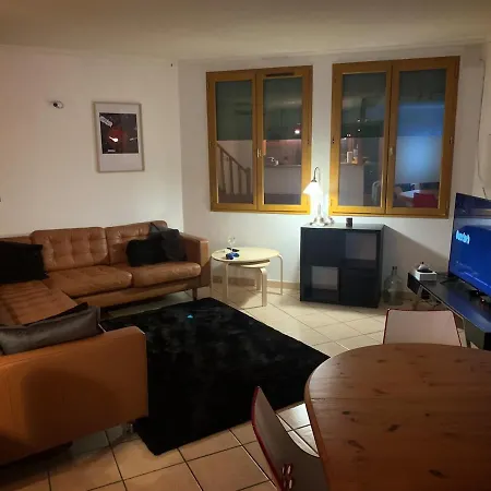 Beautiful Spacious House & Courtyard Bbq Céret